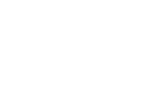 MAD//Fest logo