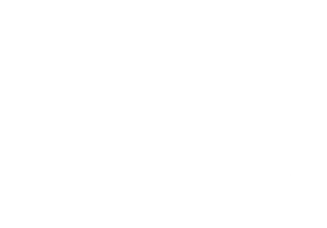 MAD//Fest logo