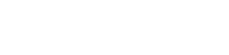 Chestnutt Holiday Parks logo