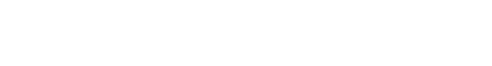 Digital Iron logo